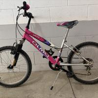 Bicicletta