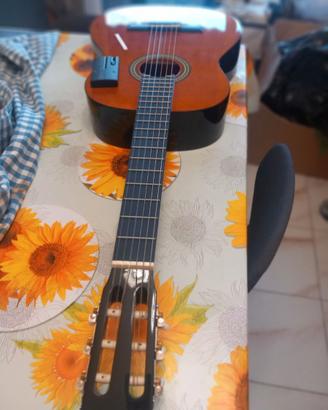 🎸 chitarra..