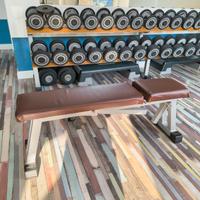 Coppia di panche Technogym e Panatta