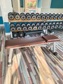 Coppia di panche Technogym e Panatta