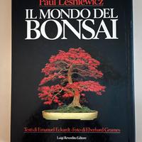 IL MONDO DEL BONSAI