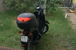 Motorino 50 Honda Sky