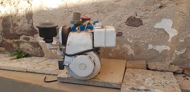 Motopompa professionale - v endo o permuto