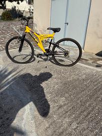 Bicicletta mtb