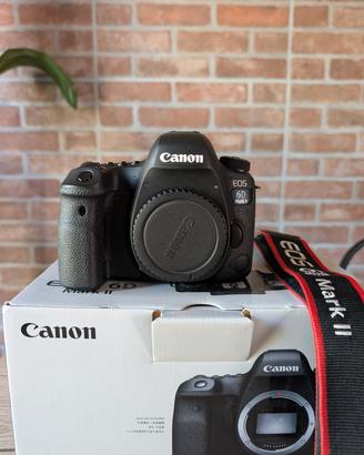 Canon EOS 6D Mark II (Solo Corpo) – Pari al Nuovo