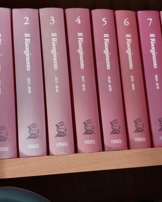 Il Risorgimento. Storia, documenti e testimonianze