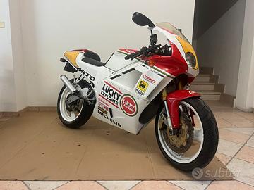 Cagiva mito Luchy Explorer