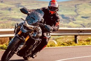 TRIUMPH TIGER 900 RALLY PRO 2021