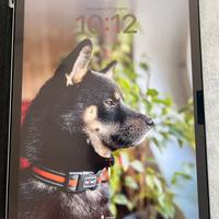 S.C.A.M.B.I.0 iPad air 11” M2 128 x iPad Mini 7