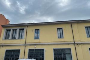 Locali