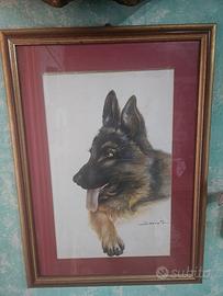 Cane pittore Socrate Milano