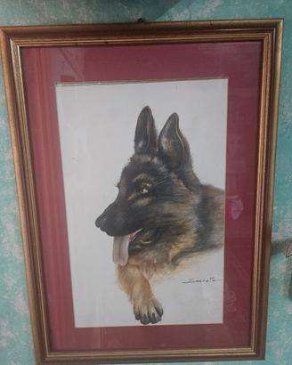 Cane pittore Socrate Milano