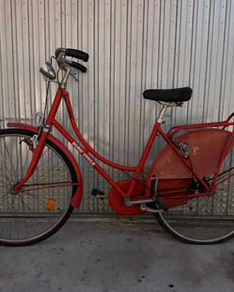 Bici Euro Cycle