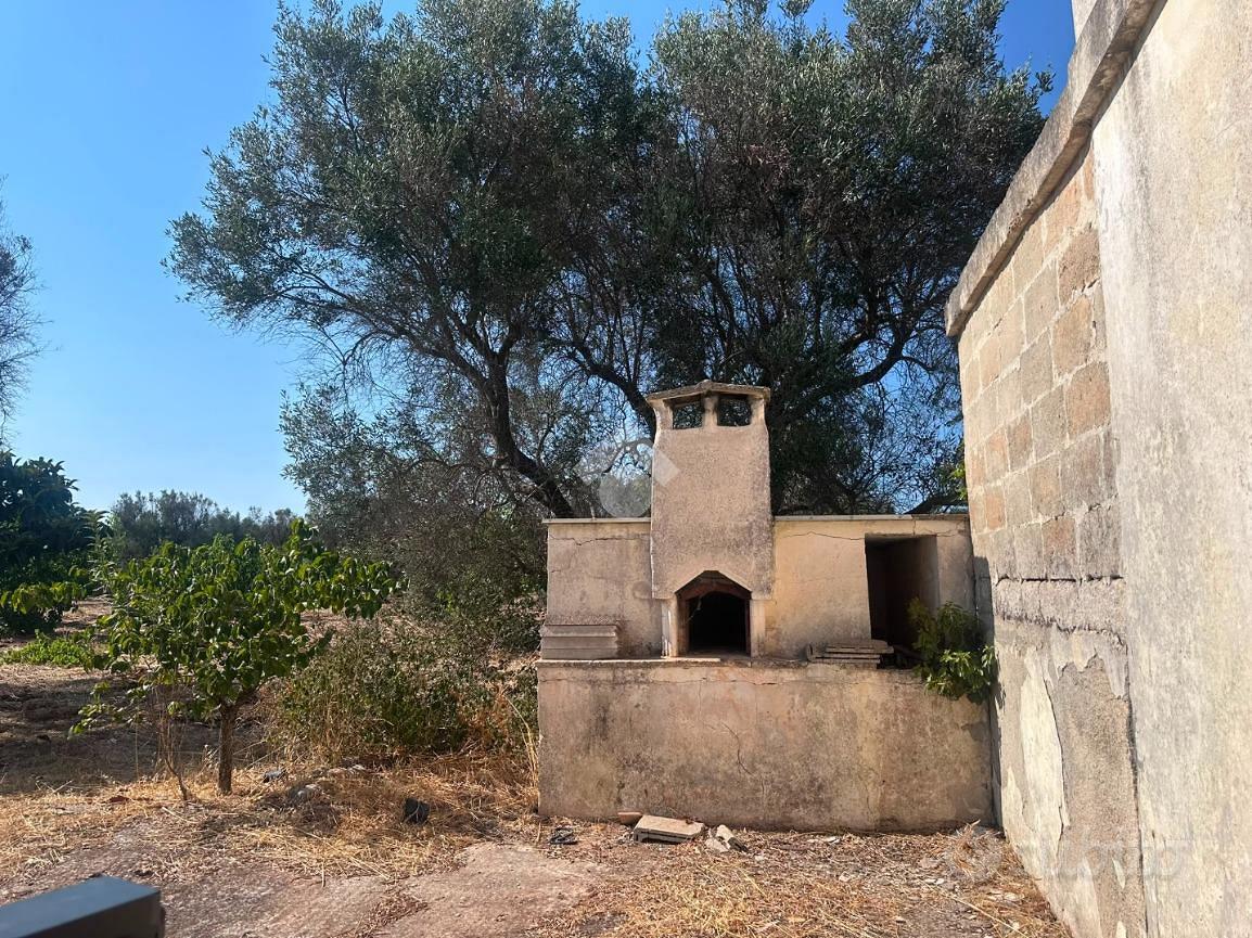 RUSTICO A FRANCAVILLA FONTANA - Vista 4