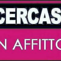 Appartamento Novara
