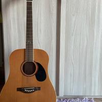 Chitarra:Eko signature Massimo Varini