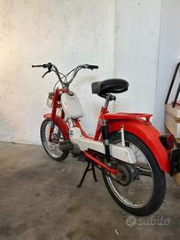 motorella benelli 50 