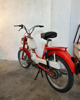 motorella benelli 50 