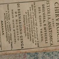 Genga, Bernardino - Anatomia Chirurgica, 1687