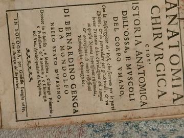 Genga, Bernardino - Anatomia Chirurgica, 1687