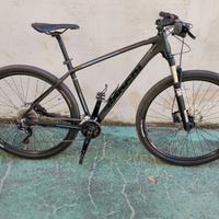 Bicicletta mountain bike marca bianchi