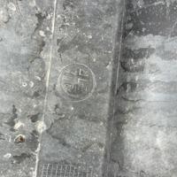 Dam posteriore Giulietta