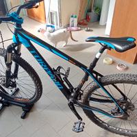 Torpado Nearco Impudent in carbonio