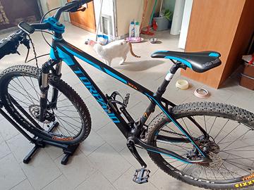 Torpado Nearco Impudent in carbonio