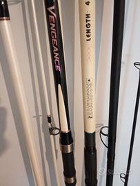 Coppia canne da Surfcasting