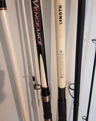 Coppia canne da Surfcasting