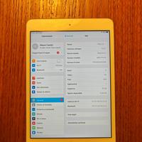 iPad mini 2