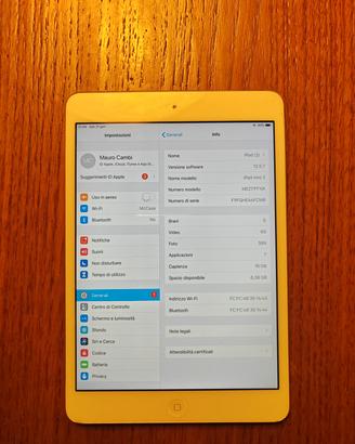 iPad mini 2