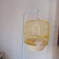 gabbia per uccellini