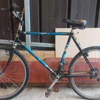 bicicletta mountain bike