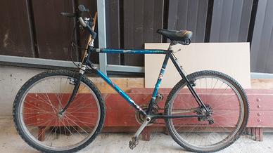 bicicletta mountain bike
