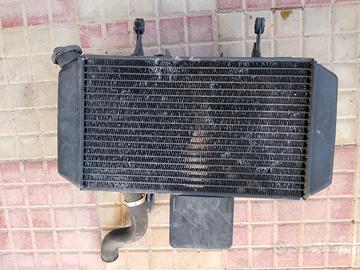 radiatore Suzuki v-strom DL 650