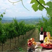 VIAGGIO NELLA ROMANTICA CAMPAGNA con degustazione
