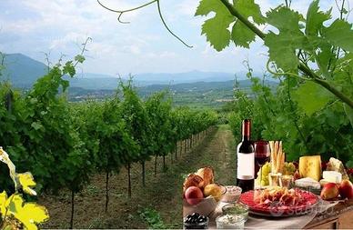 VIAGGIO NELLA ROMANTICA CAMPAGNA con degustazione