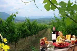 VIAGGIO NELLA ROMANTICA CAMPAGNA con degustazione