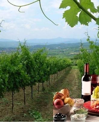 VIAGGIO NELLA ROMANTICA CAMPAGNA con degustazione