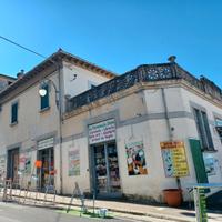 Attività Ben Avviata con Licenze Multiple