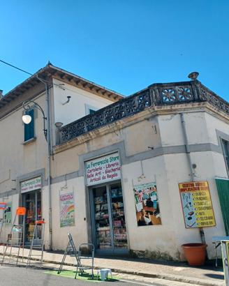 Attività Ben Avviata con Licenze Multiple