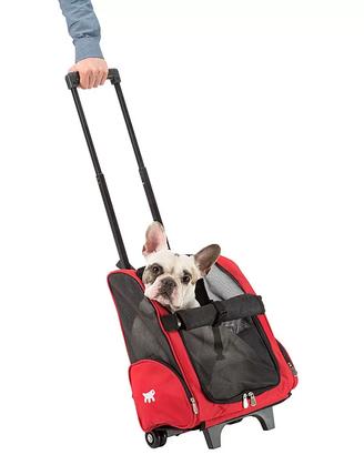 TROLLEY ZAINO TRASPORTINO TRASPIRANTE 4KG ROSSO
