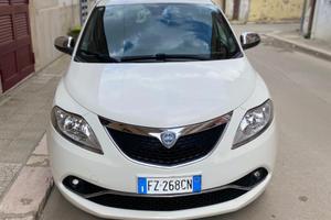 Lancia ypsilon platino