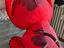 Immagine 4
