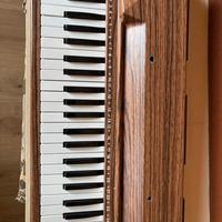 Strumento musicale pianola