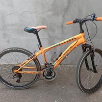 Bicicletta Mountain Bike 24" YOUNG TROPEA Lombardo