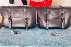 Coppia borse harley davidson sportster