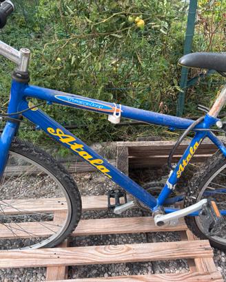 Bici da corsa