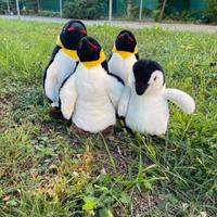 Peluche pinguini